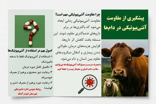 پیشگیری از مقاومت آنتی بیوتیکی در دام ها